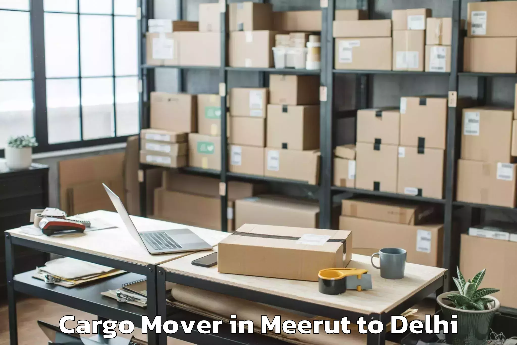 Reliable Meerut to Dlf Avenue Mall Cargo Mover